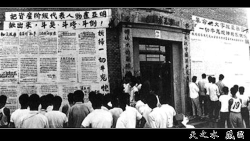 查看更多精彩图片