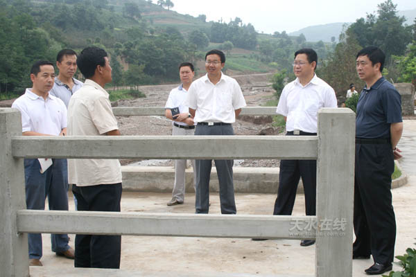 麦积区团庄村人口_麦积区地图(3)