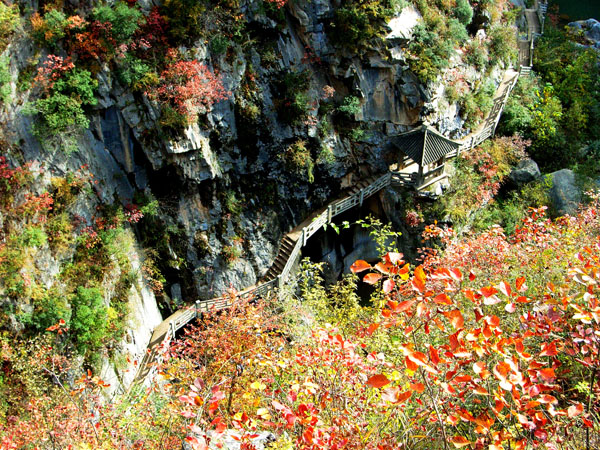 在距离成县县城12公里的天井山麓,鱼窍峡中,有一方名播千载,在中国艺术史上熠熠生辉的东汉摩崖石刻,这就是《西狭颂》。 鱼窍峡是一条横亘东西约5公里的狭长溪谷,位于抛沙镇和小川镇之间,这里夹岸两山宛如屏障,森然壁立,悬崖峻丽,瀑布飞悬,林木畅茂,谷中有一条溪水,俗称响水河,有人说,这就是古代史籍中记载的下辨水,秦代置武都郡下辨道,即以此水命名。溪谷中水流潺湲,怪石嶙峋,竹树茂密,飞瀑流泉,低吟畅响,构成了绮丽、幽深、繁华的生气勃勃的自然风光。 由于鱼窍峡是东汉摩崖石刻《西狭颂》的栖身之地,这就