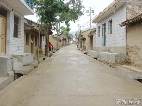 组图武山县掀起新农村建设村庄道路硬化高潮