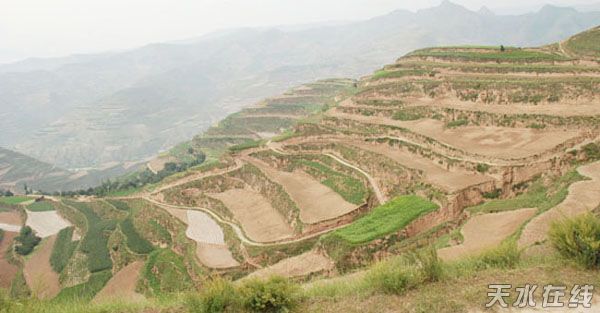 武山县咀头乡人口_天水市武山县杨咀村(3)