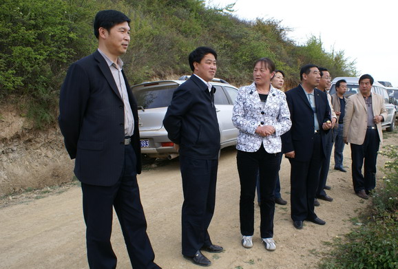 在山门镇调研