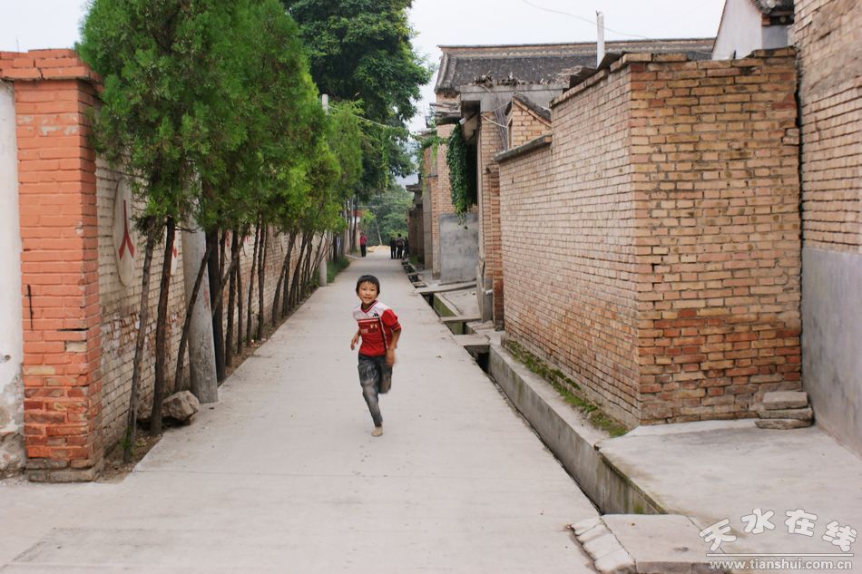 麦积区团庄村人口_麦积区地图