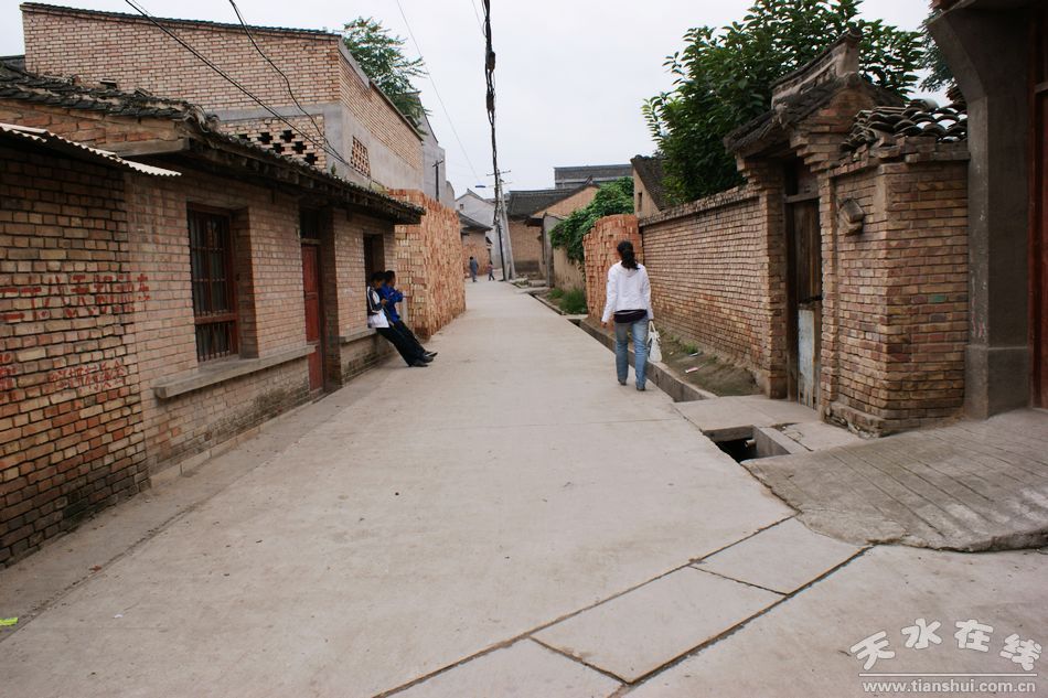 麦积区团庄村人口_麦积区地图