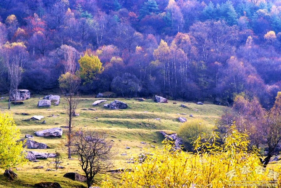 关山牧场