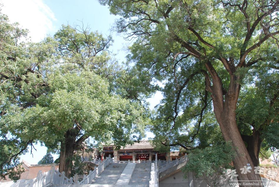 天水市"魅力乡镇"参评乡镇展示:秦州区天水镇(图)