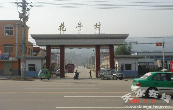 天水市"魅力乡镇"评选展示:麦积区花牛镇(组图)