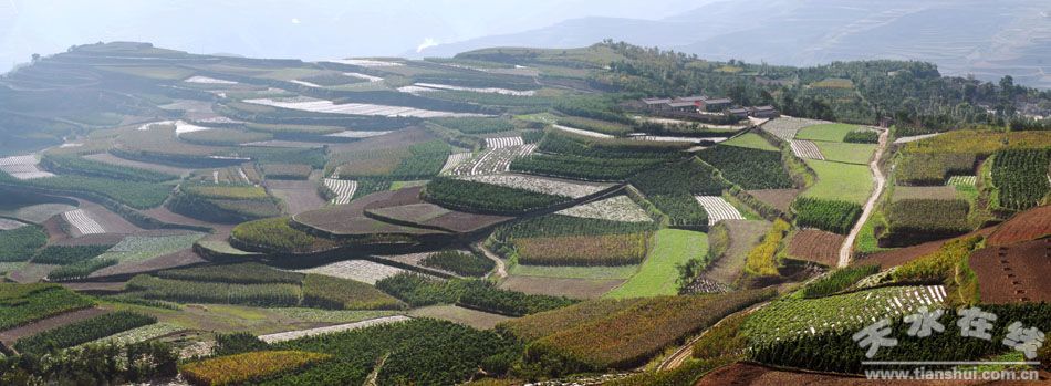 天水市"魅力乡镇"评选展示:武山县四门镇(图)