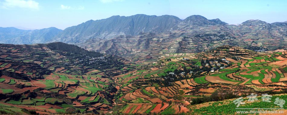 图片_甘肃省天水市武山县龙台乡山羊坪村