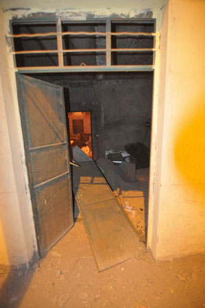 �����ű���