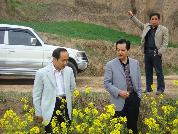 彭鸿嘉在甘谷县检查农作物及果树受灾情况(组图)