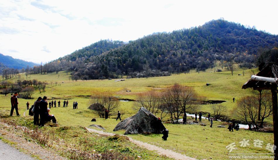 张家川回族自治县风光民情(组图)