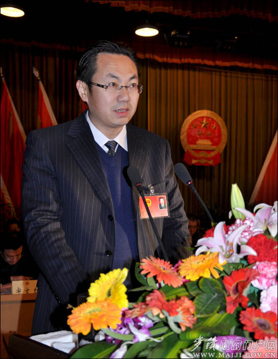威龙股份董事长_布加迪威龙(2)