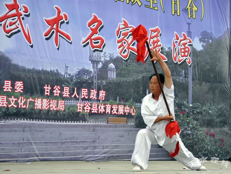 相约姜维故里甘谷西部武术名家展演精彩上演图