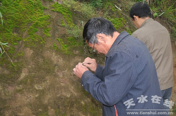 郎树德研究员认真察看香肠.jpg