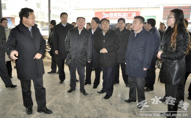 天水市委副书记市长王锐深入武山县调研组图