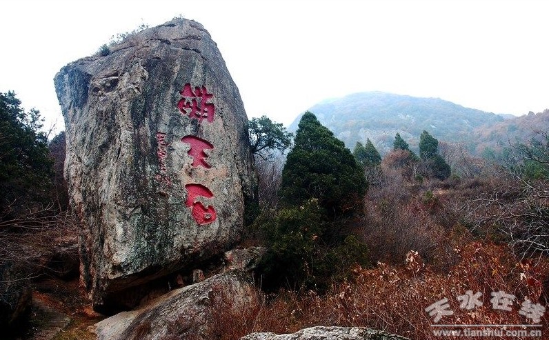 清水县举行花石崖旅游路通车仪式组图