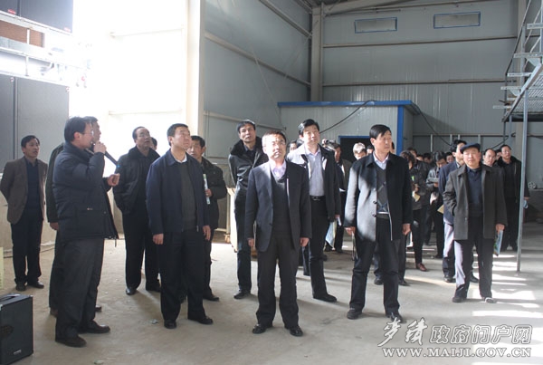 庆阳市镇原县党政考察团在麦积区参观考察(组图)