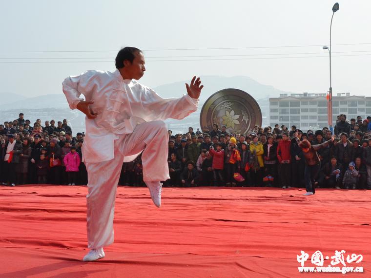 武山县隆重举行"武林之春"武术表演大会(组图)