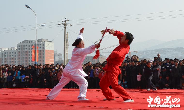 武山县隆重举行"武林之春"武术表演大会(组图)