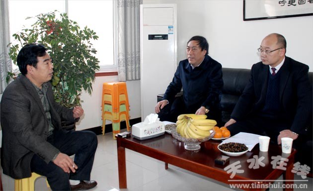 麦积区人民政府网