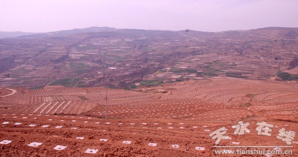 DSC_0095.JPG