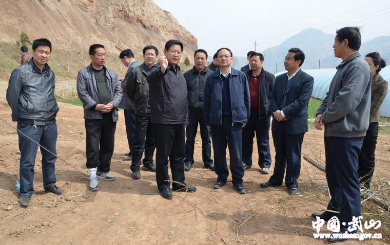 副市长王钧深入武山县检查指导农业农村工作(组图)