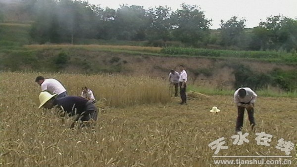IMGA0975(1)(1).JPG