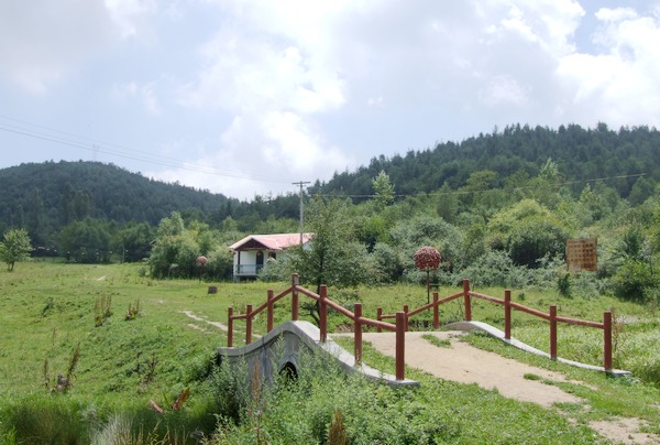 清水旅游牛头河的发源地三皇谷森林公园图