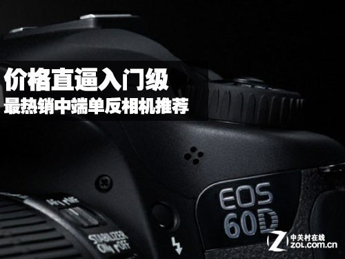 价格直逼入门级 最热销中端单反相机推荐