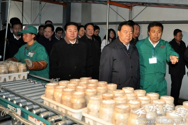 众兴菌业董事长_众兴菌业(3)