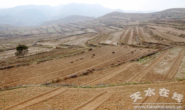 白驼镇刘坪湾预征地.jpg