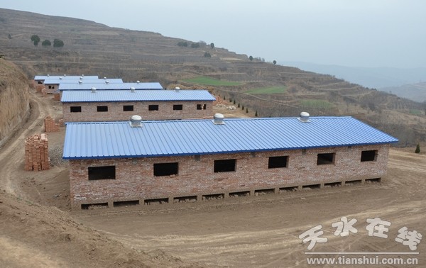 张牛养羊小区.jpg
