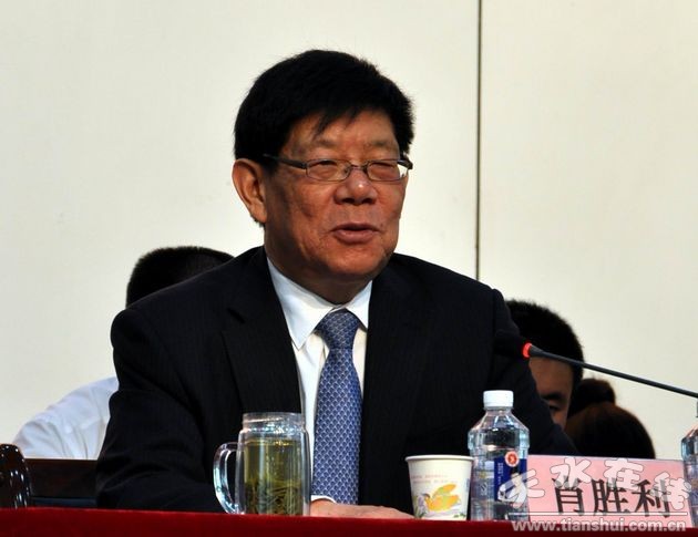 华天集团董事长喻小平_华天董事长
