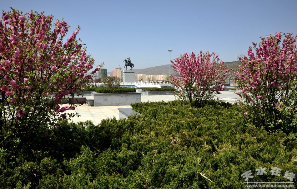 DSC_1982.jpg