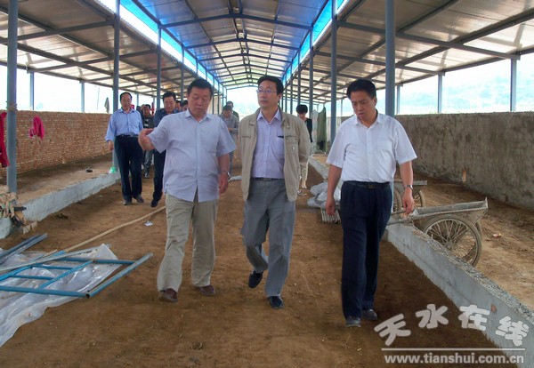 ��Ƭ 091.jpg