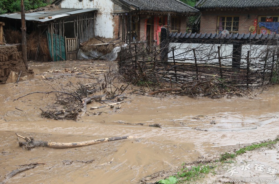 清水遭受强降雨灾害 部分村庄、路段发生地质