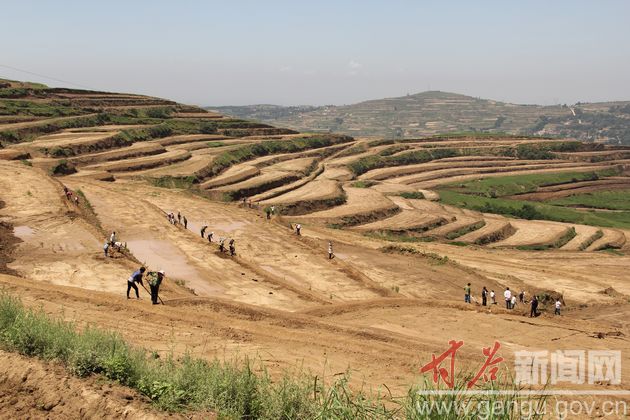 金山乡堡子沟流域土地开发整理项目:该流域土地开发整理项目,总投资