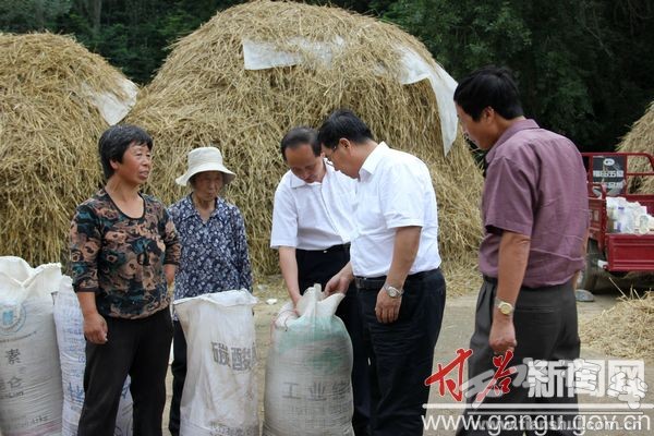 甘肃省委农工办主任王义在甘谷调研双联工作(