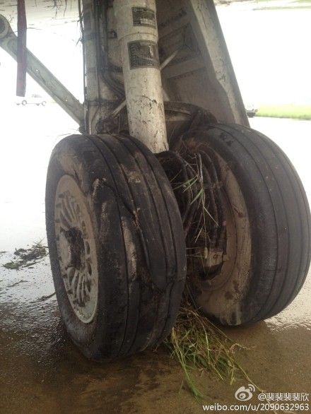 �ֳ���ͼƬ����΢������