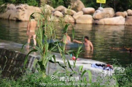 河南8名协警驾警车赴景区裸泳被辞退 责任人记过