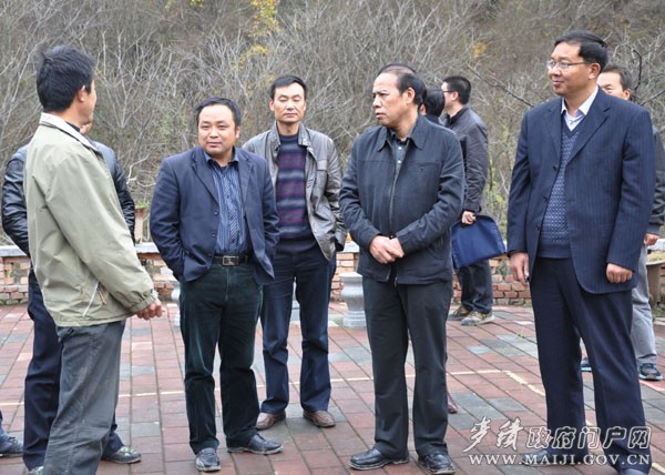 (在东岔镇桃花坪村石碑沟桃花源养殖场调研)
