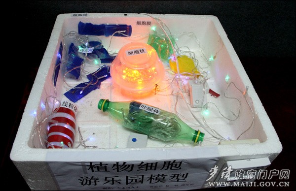 参赛作品:植物细胞游乐园