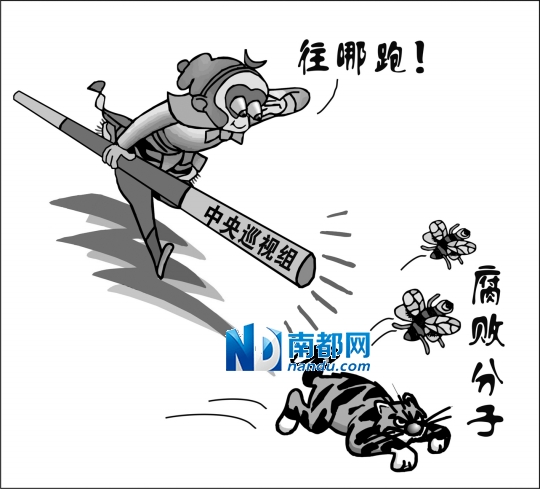 中央新一轮派出的10个巡视组完成巡查