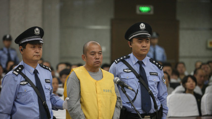 王书金案判决结果:被告人王书金被判处死刑