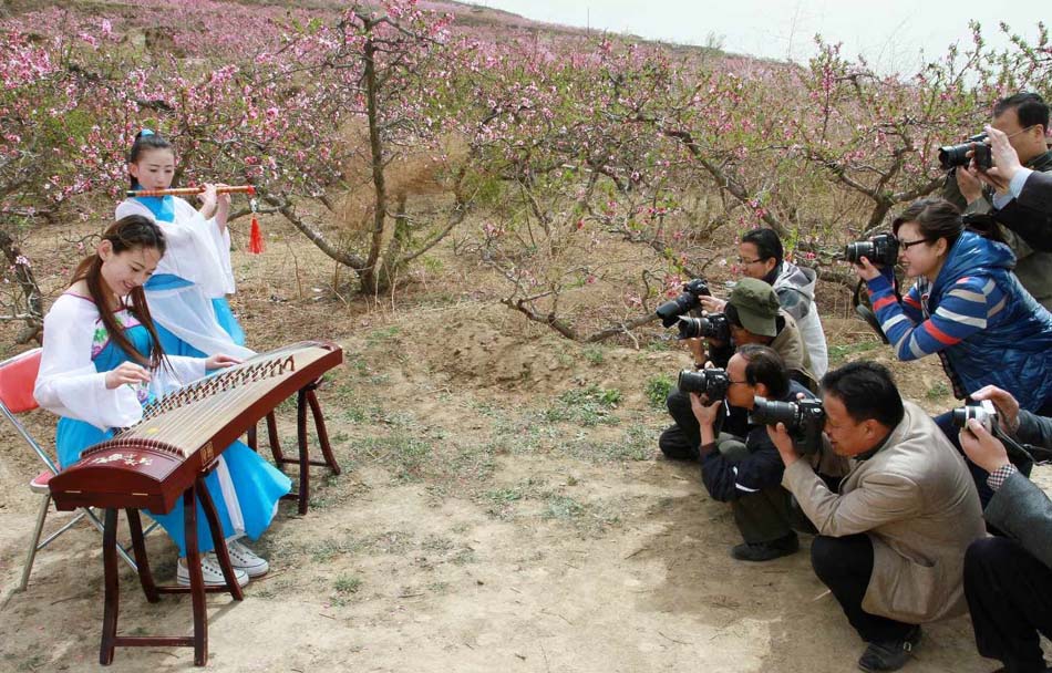 甘肃省两项农事景观入选中国美丽田园