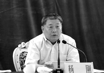 杨刚资料图片