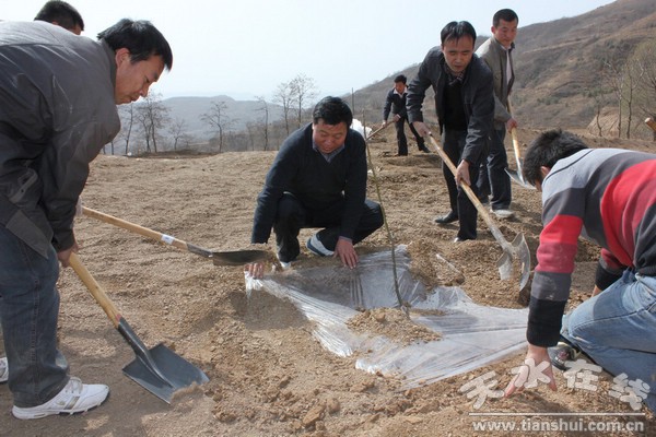 县委副书记、县长马越垠及政府办干部职工帮助双联村核桃建园.jpg