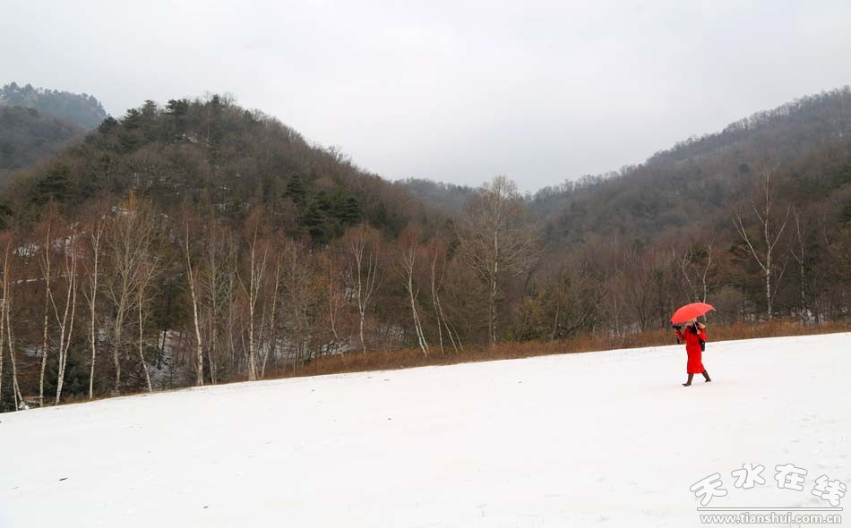 天水在线2014年第七号行动:登石门赏雪景(组图