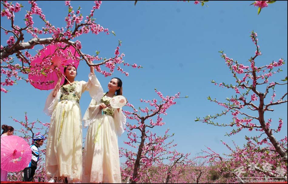 天水在线走进中国美丽田园--秦安何湾桃花园(上